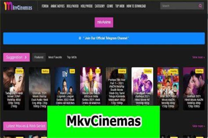 AllMoviesHub Hindi: The Ultimate Guide to Downloading Bollywood Movies Safely