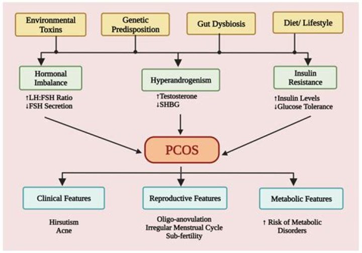 Bellamy Disease Meaning: A Comprehensive Guide to Understanding Its Causes, Symptoms, and Treatments