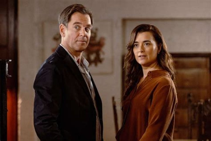 Cote de Pablo and Michael Weatherly: A Love Story That Never Was