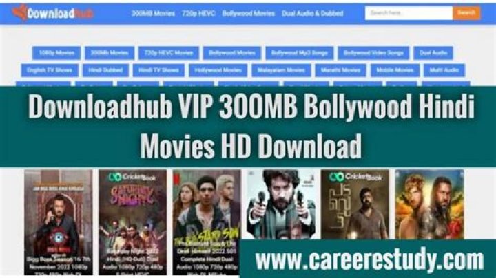 DownloadHub: Your Ultimate Guide to 300MB Movies