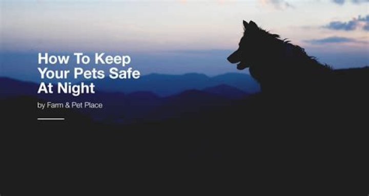 Drunk Doggo: Understanding the Phenomenon, Risks, and How to Keep Your Pet Safe