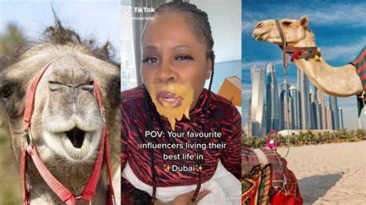 Dubai Porta Potty Video: Unveiling the Viral Sensation and Its Implications