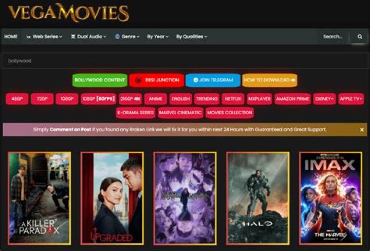 Everything You Need to Know About Vegamovies Netflix: The Ultimate Guide