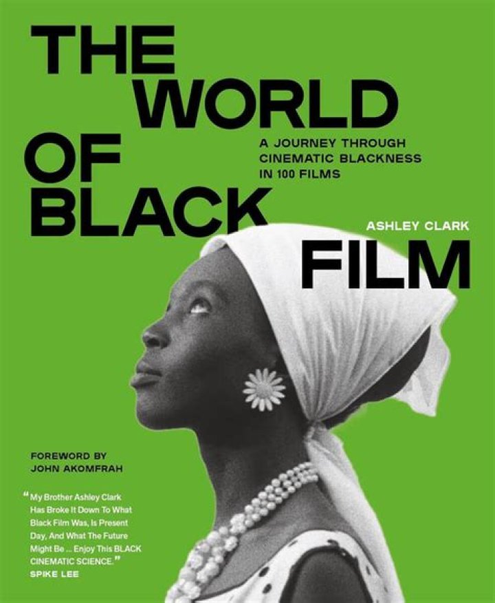 Exploring the World of Black Grannies: Stories, Challenges, and Celebrations