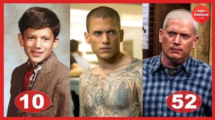Exploring Wentworth Miller's Journey: His Relationships and Life Beyond the Screen