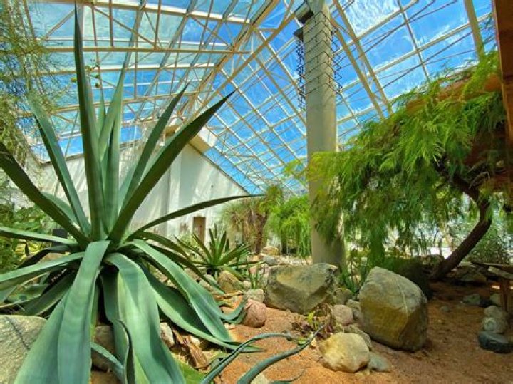 Fort Wayne Botanical Garden: A Paradise of Flora and Natural Beauty