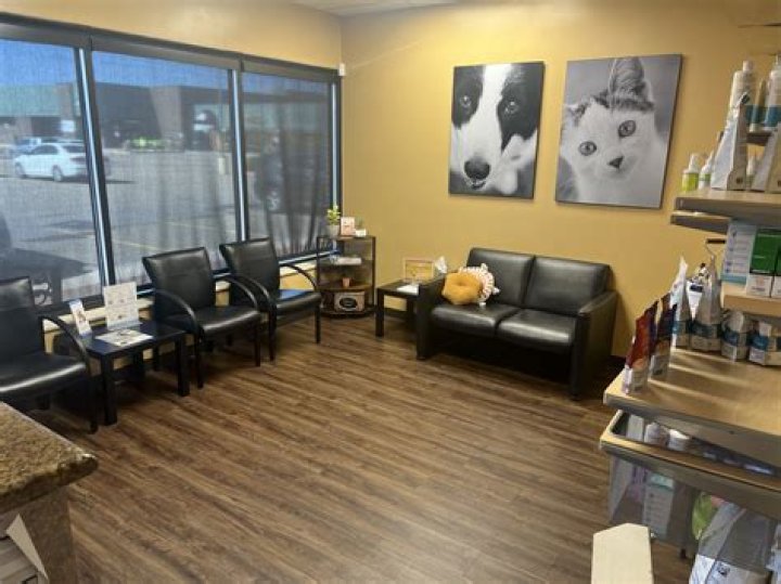 Fries Vet Clinic: Your Trusted Companion for Pet Care