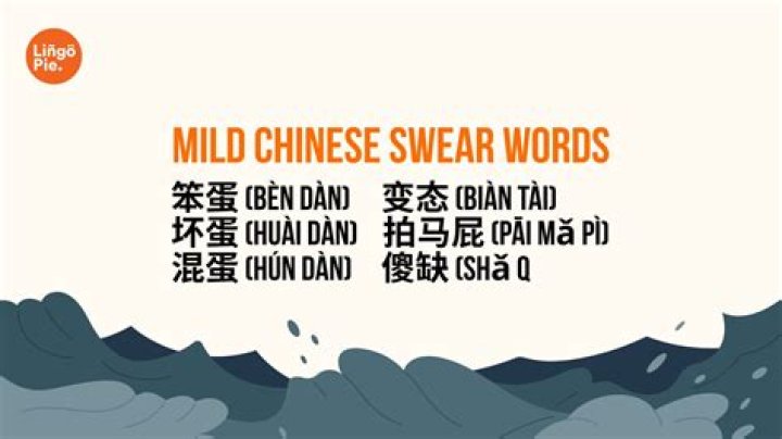 Fuck You in Chinese: A Comprehensive Guide to Understanding Chinese Swear Words