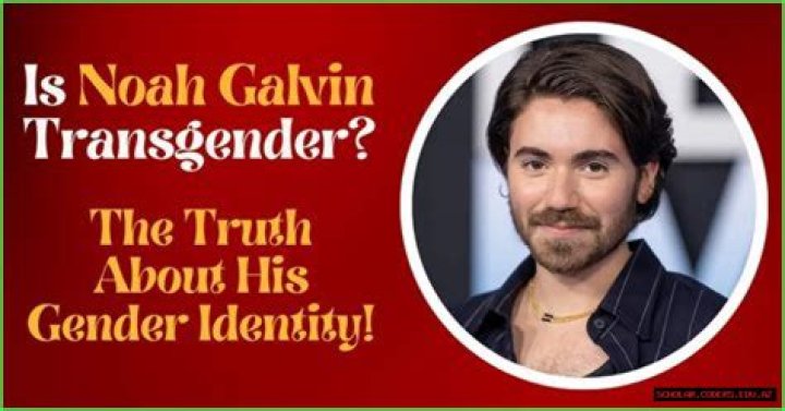Is Noah Galvin Trans? Understanding His Journey and Perspectives
