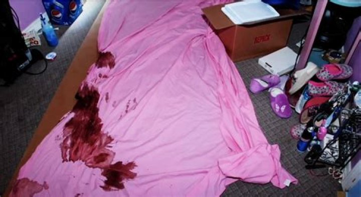 Leaked Dee Dee Blanchard Crime Scene Photos: Unraveling the Dark Truth