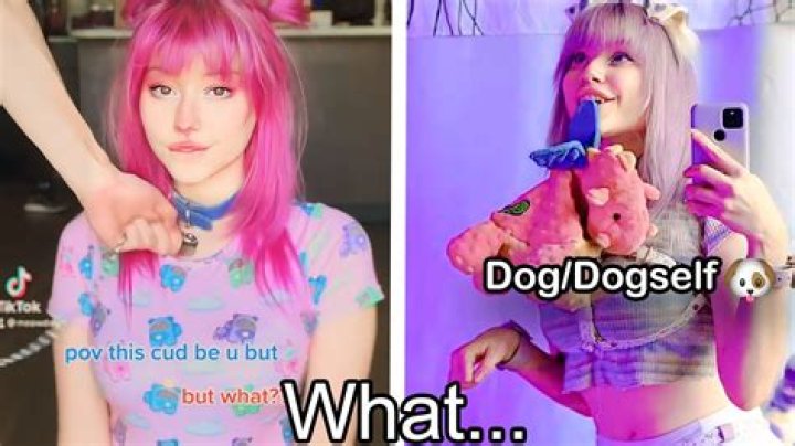 Puppygirl Xo: Exploring the Rise of a Digital Sensation
