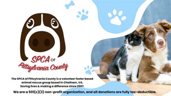 Richmond SPCA: A Beacon of Compassion for Animals in Need