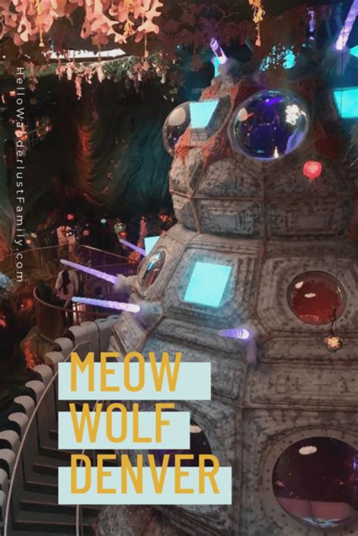 Unleashing the Magic: Discover the Extraordinary World of Meow Wolf Denver