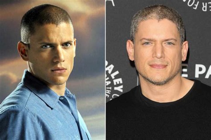 Wentworth Miller 2024: A Comprehensive Look at His Life, Career, and Future Projects