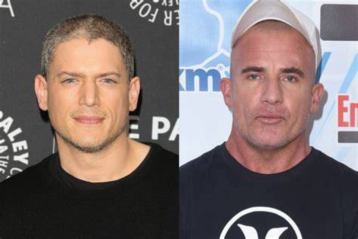 Wentworth Miller 2024 Partner: Exploring the Life and Love of the Iconic Actor