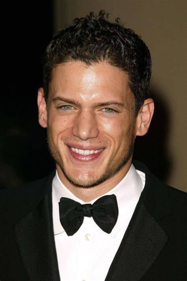 Wentworth Miller's Wife in 2024: A Deep Dive into His Love Life and Relationship Journey