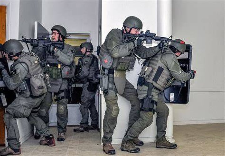 What Is SWAT? Understanding the Role, History, and Impact of Special Weapons and Tactics Teams