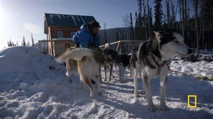 Where is Andy Bassich Now? An In-Depth Look at His Life After Life Below Zero