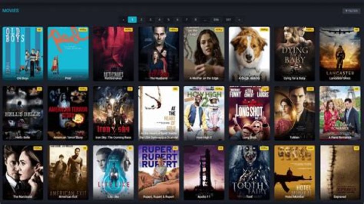 Zoechip Movies: A Comprehensive Guide to the Best Films and Their Impact